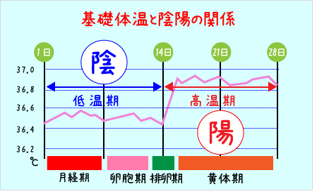 福岡不妊症の鍼灸治療