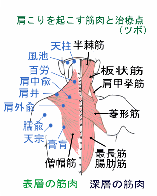 目の奥の痛みに効くツボ