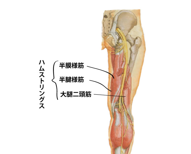 名称未設定-1