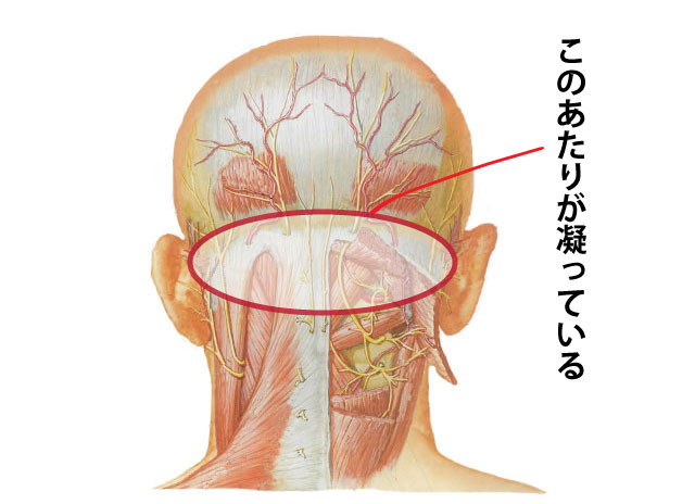 頚性めまいと鍼灸治療