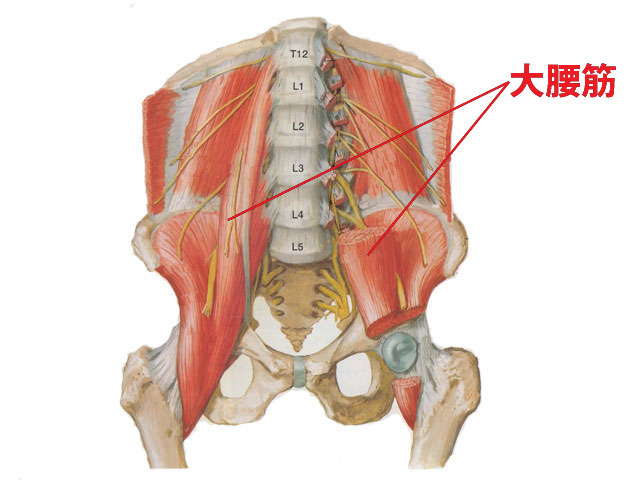 腰に力が入らない鍼灸治療