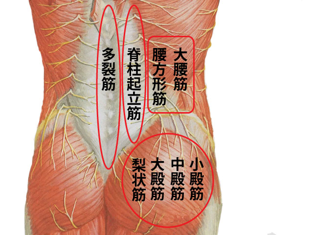 レントゲン異常なし腰痛と鍼灸治療