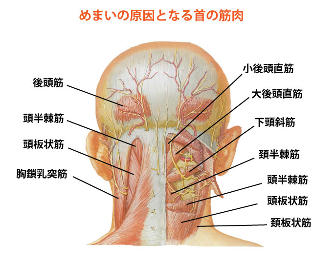 めまいの原因となる筋肉