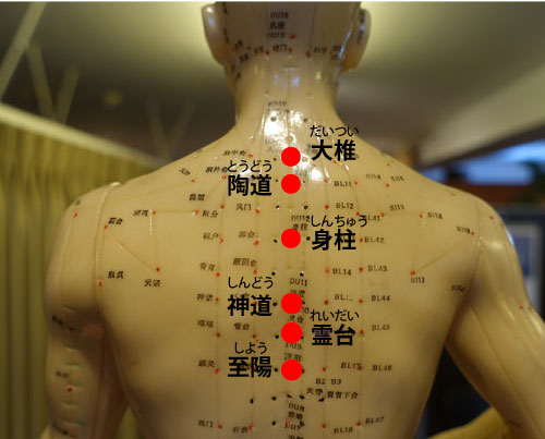 自律神経失調症に効く背中のツボ