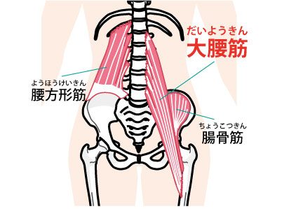 大腰筋刺鍼