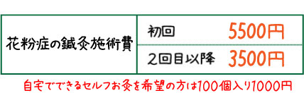 花粉症の鍼灸施術費