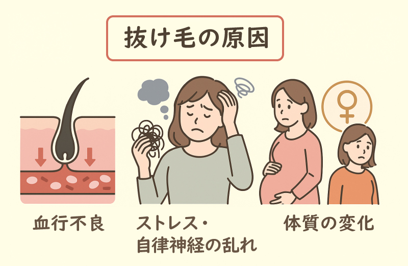 抜け毛の原因
