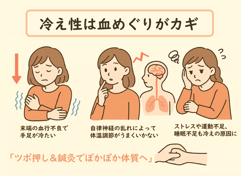 冷え性は血めぐりがカギ