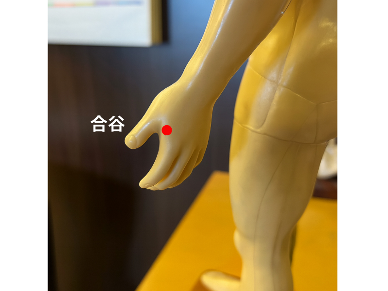 合谷