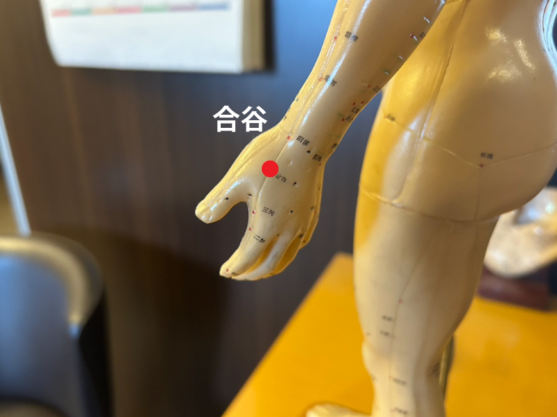 肩こりに効くツボ(合谷）