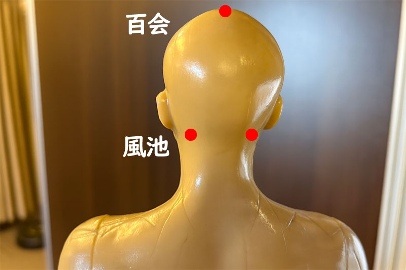 めまいに効くツボ：風池、百会
