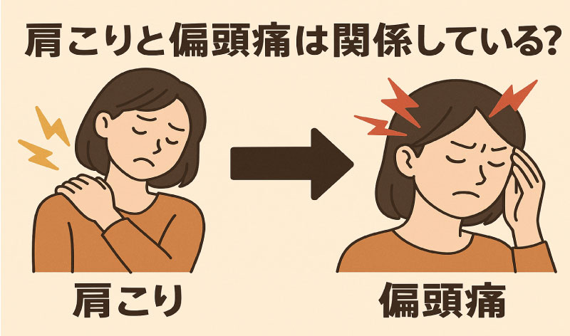 肩こりと頭痛の関係