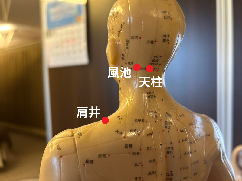 肩こりのツボ（天柱・風池・肩井）
