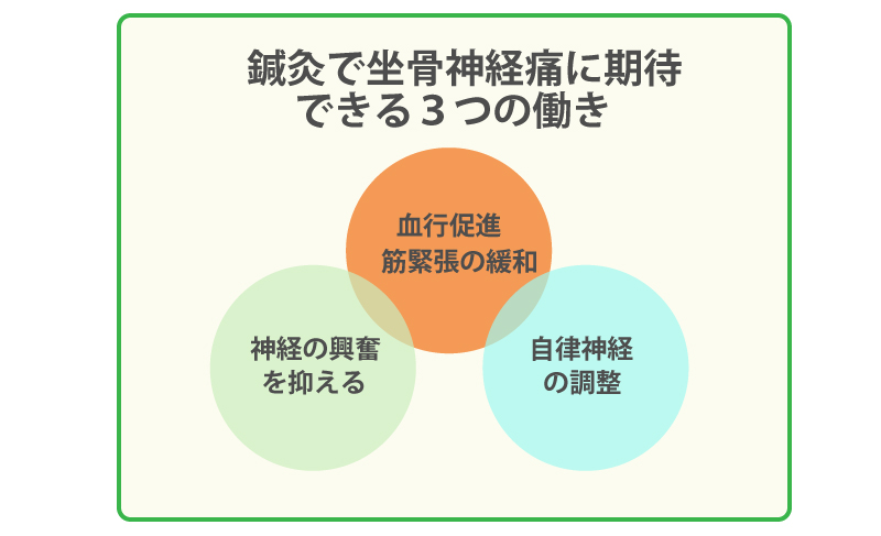坐骨神経痛に対する鍼灸の3つの働き