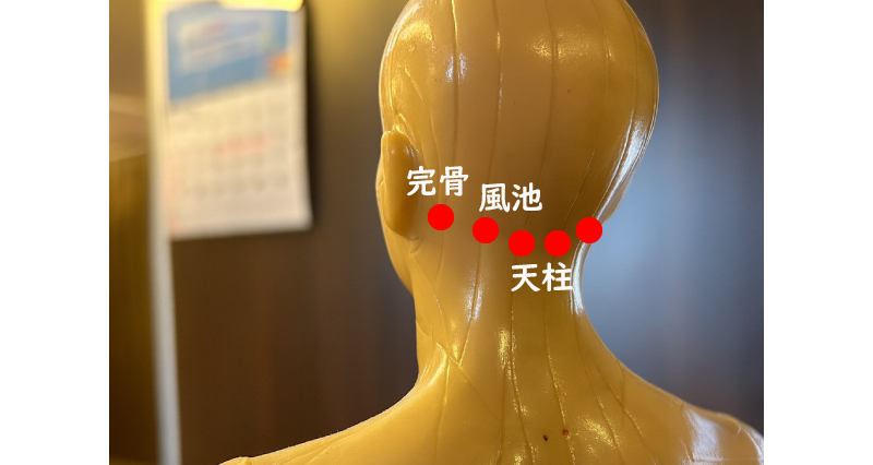 めまいに効くツボ（風池・天柱・完骨）