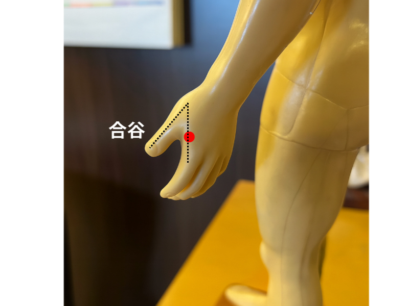 合谷の位置