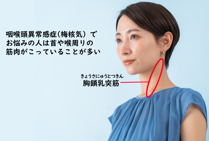 胸鎖乳突筋のコリが原因？