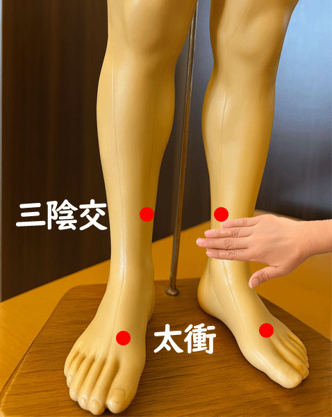 三陰交・太衝