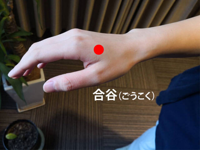 ツボ アーカイブ 福岡市天神の美容鍼灸院 ツボ アーカイブ 福岡市天神の美容鍼灸院