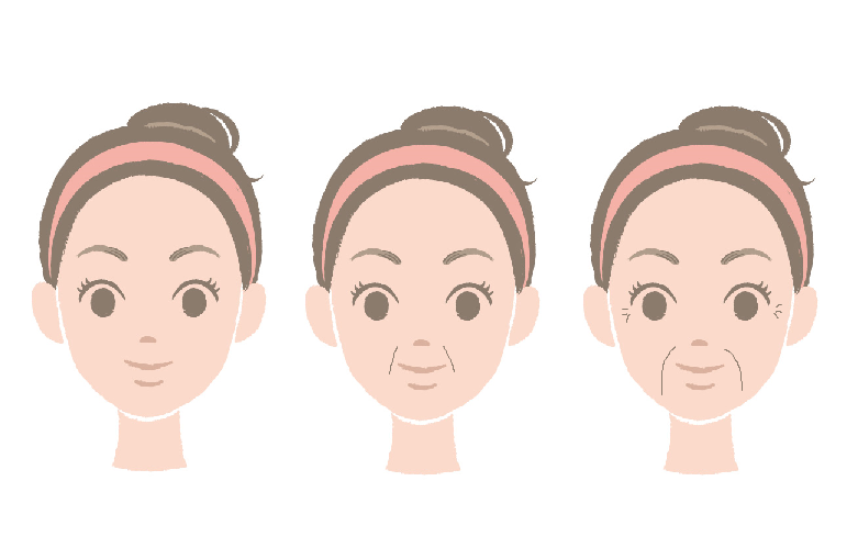 老け顔の原因「ほうれい線」への美容鍼 | 福岡市天神の美容鍼灸院