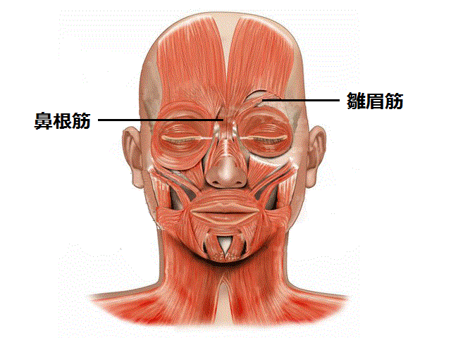 美顔針 眉間のしわに効果的なツボ 福岡市天神の美容鍼灸院