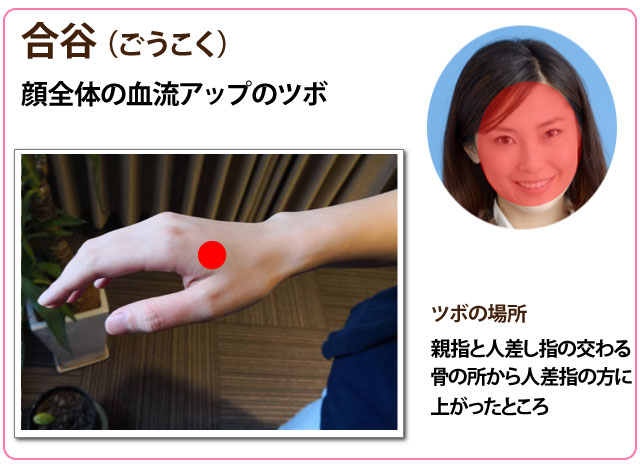 長生灸 レギュラー100壮 ライト100壮 お灸のおまけ 説明書 ツボ図付き 長生灸100壮 ライト 説明書 ツボ図付き Studiodeiure It